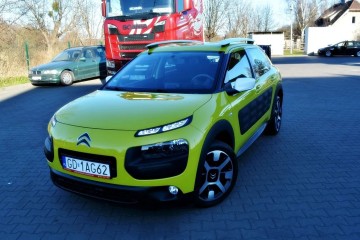 Bezwypadkowy, Serwisowany, Oryginał lakier