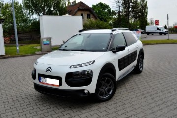 Biała Perła, Klimatyzacja, Nawigacja, Kamera cofania, Nowy rozrząd