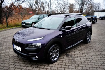 Panorama, Bezwypadkowy, Oryginalny lakier