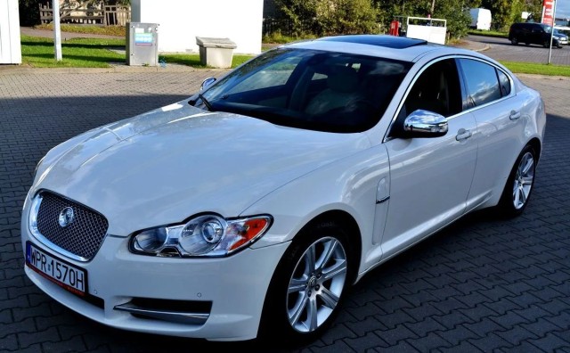 jaguar